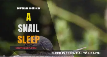 Unbelievable! Discover the Astonishing Sleep Duration of Snails