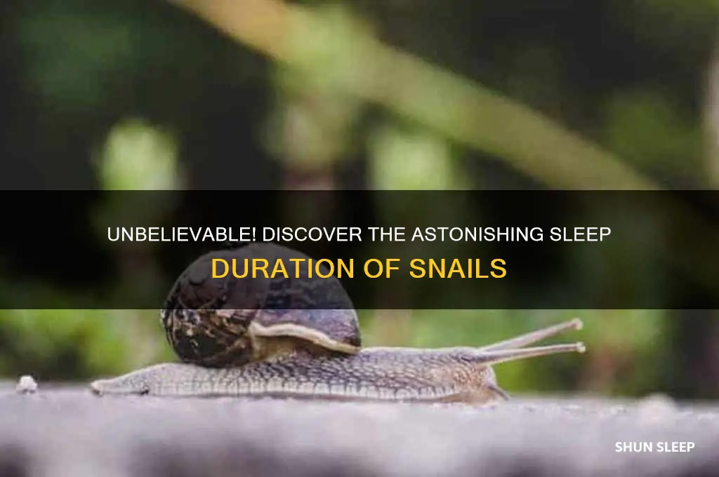 how many hours can a snail sleep