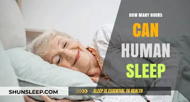 Understanding Human Sleep: Optimal Hours for Rest and Recovery