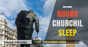Churchill's Sleep Secrets: Uncovering His Unique Resting Habits