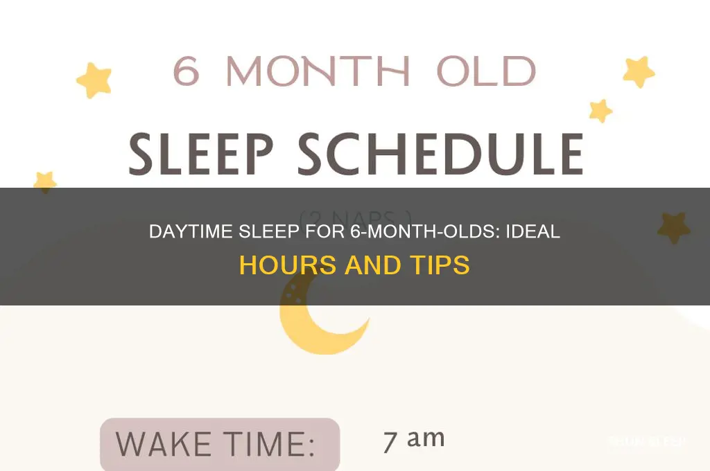how many hours daytime sleep 6 month old