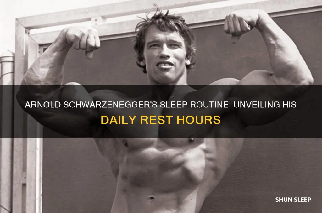 how many hours did arnold schwarezenager sleep