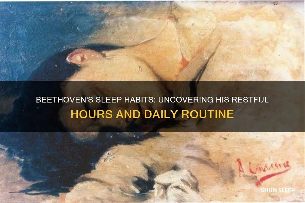 how many hours did beethoven sleep