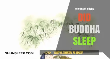 Buddha's Sleep Habits: Unveiling the Hours of Rest for Enlightenment