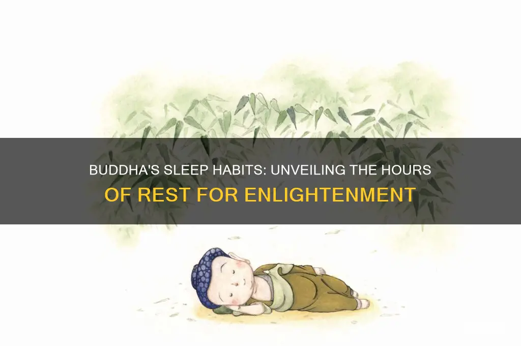 how many hours did buddha sleep
