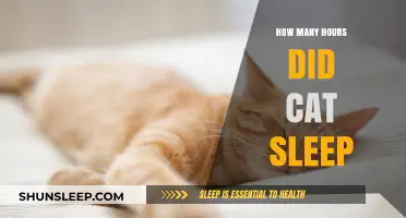 Understanding Your Cat's Sleep Patterns: How Many Hours Do They Need?