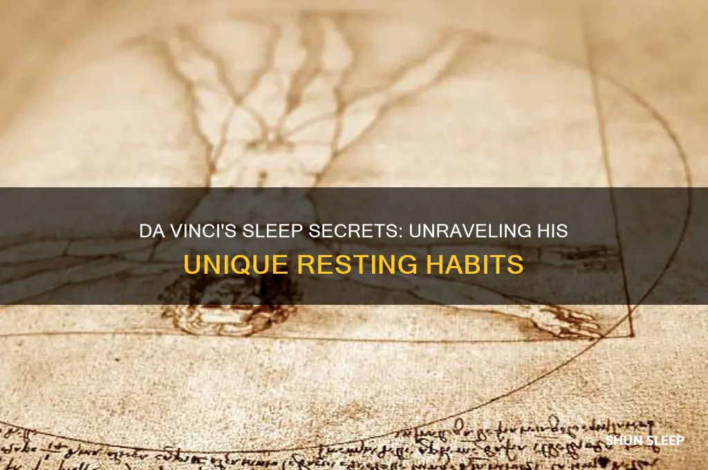 how many hours did da vinci sleep