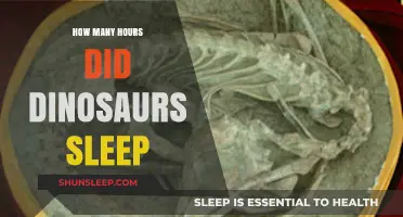 Unveiling the Sleep Patterns of Dinosaurs: Hours and Habits Explored