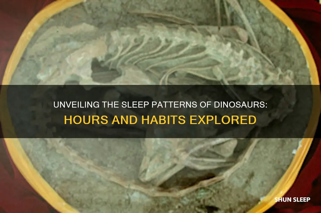 how many hours did dinosaurs sleep
