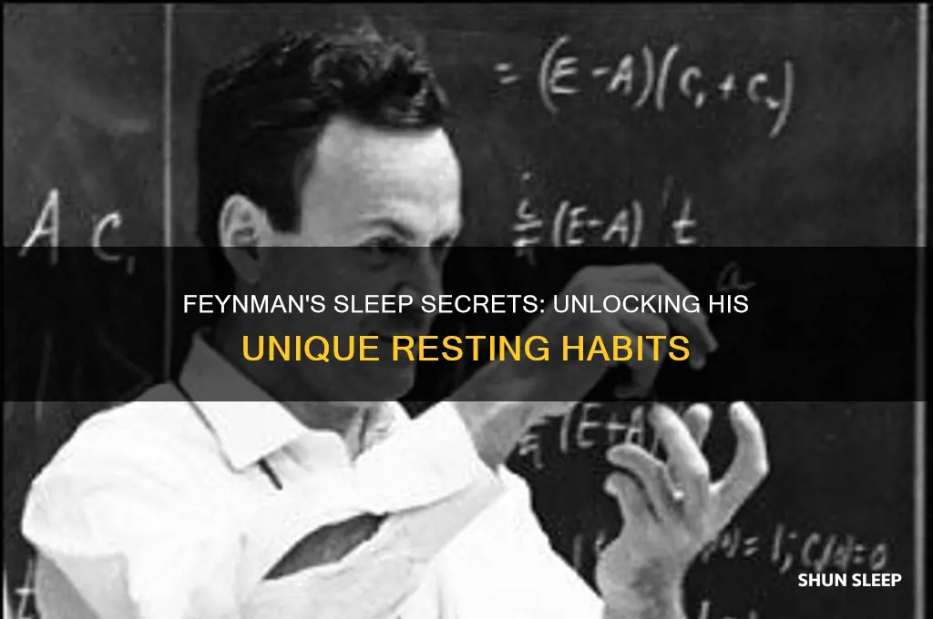 how many hours did feynman sleep