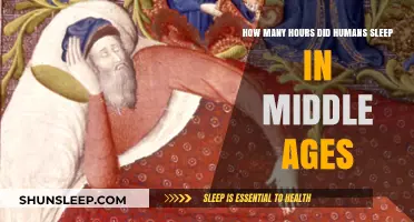 Medieval Sleep Patterns: Uncovering the Rest Habits of the Middle Ages
