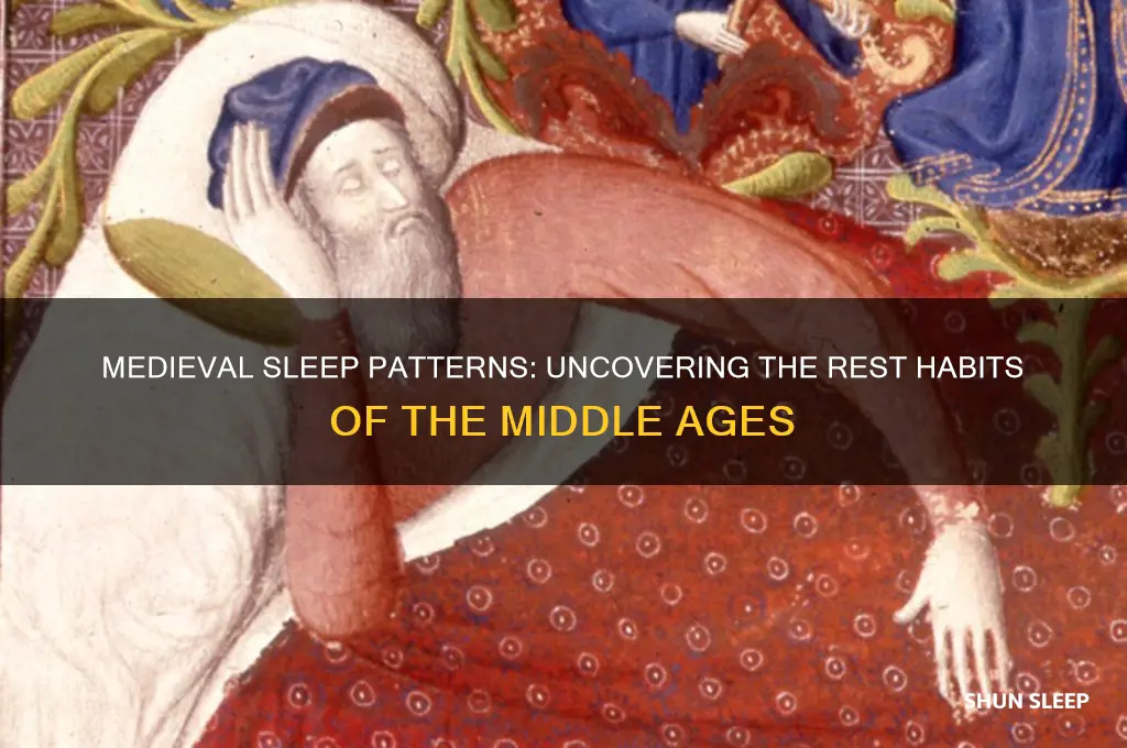 how many hours did humans sleep in middle ages
