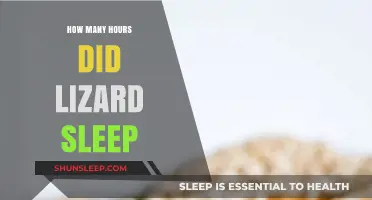 Unveiling the Sleep Patterns of Lizards: How Many Hours Do They Rest?