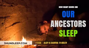 Unraveling Ancestral Sleep Patterns: How Many Hours Did They Rest?