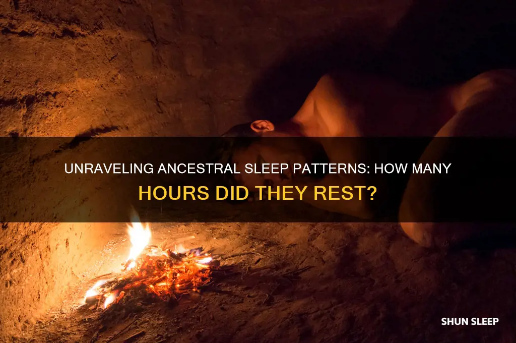 how many hours did our ancestors sleep