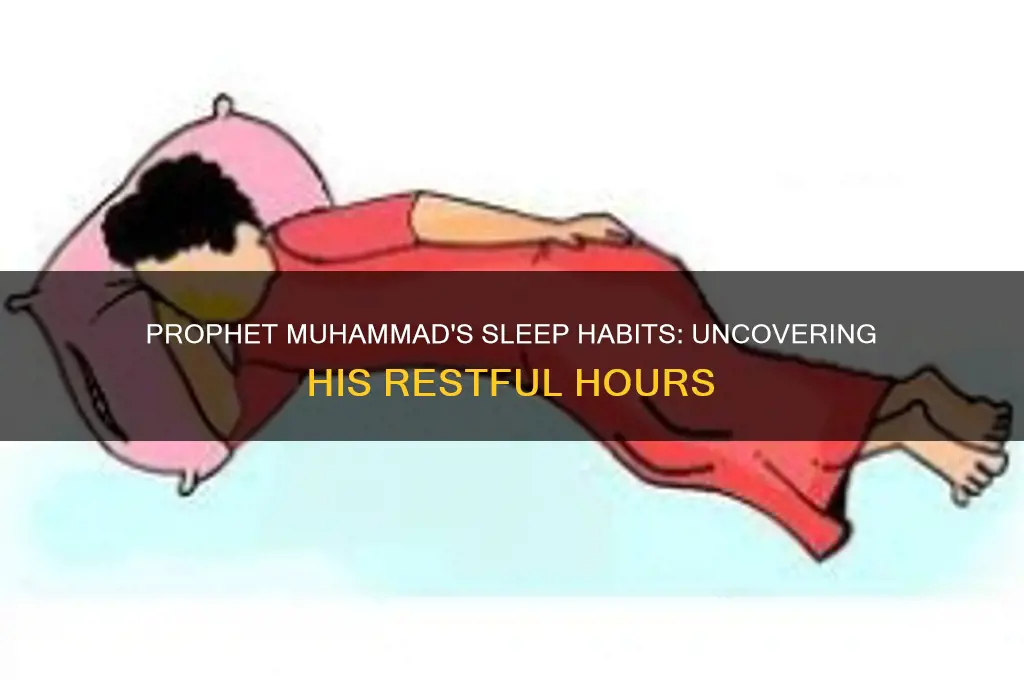 how many hours did prophet muhammad sleep