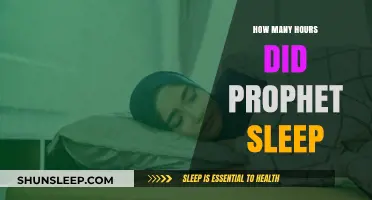 Prophet's Sleep Patterns: Unveiling the Hours of Restful Slumber