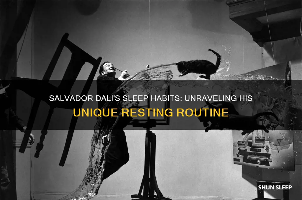 how many hours did salvador dali sleep
