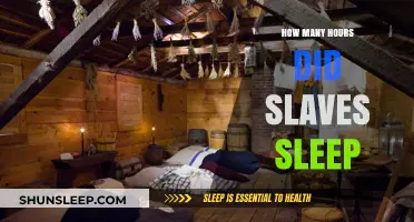 Unveiling the Harsh Reality: Slave Sleep Patterns and Labor Exploitation