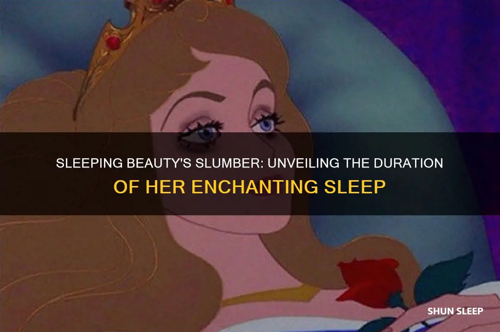 how many hours did sleeping beauty sleep