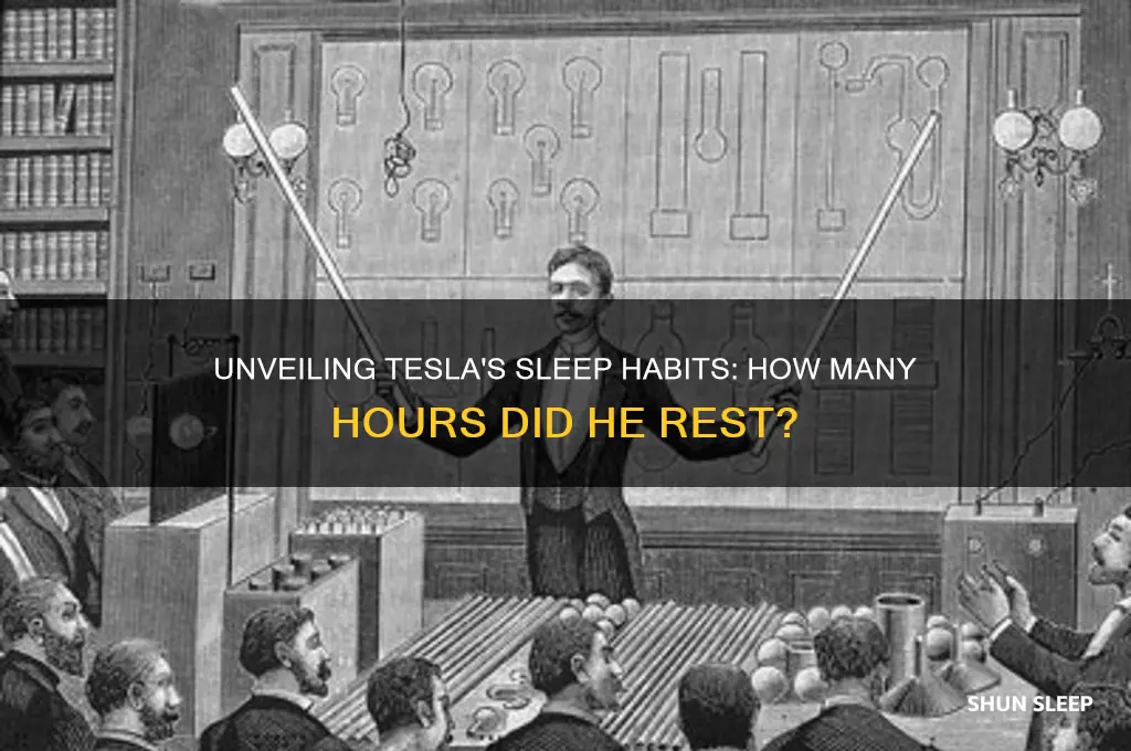 how many hours did tesla sleep