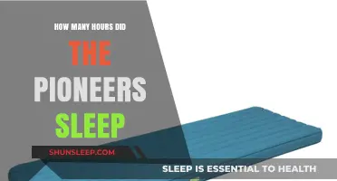 Pioneers' Sleep Patterns: Uncovering Their Restful Hours and Habits