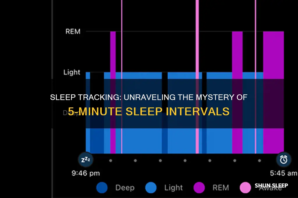 how many hours did you sleep 5 minutes