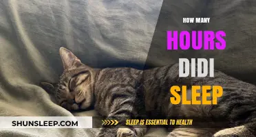 Unraveling the Mystery: How Many Hours Did Didi Sleep?