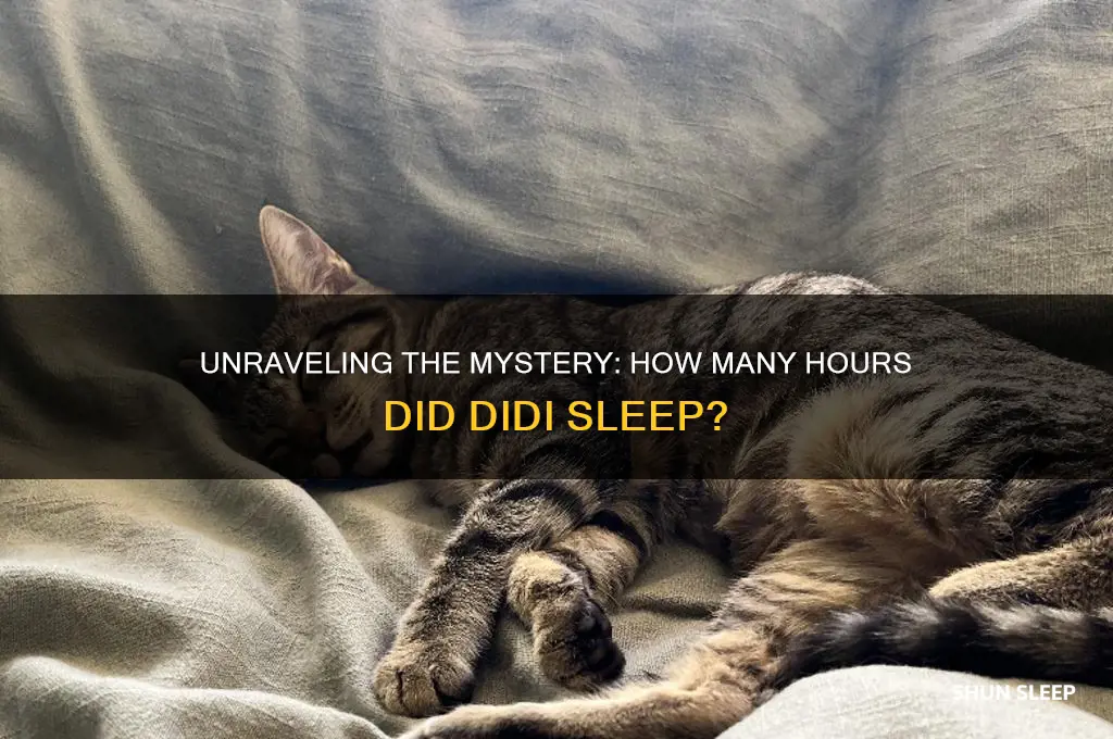 how many hours didi sleep