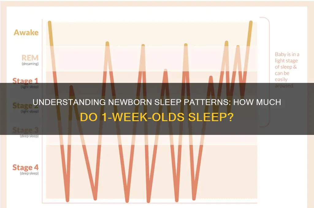 how many hours do 1 week old babies sleep