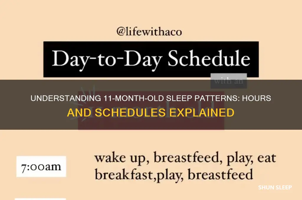 how many hours do 11 month olds sleep