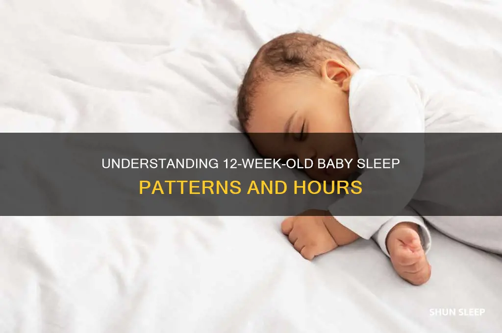 how many hours do 12 week old babies sleep