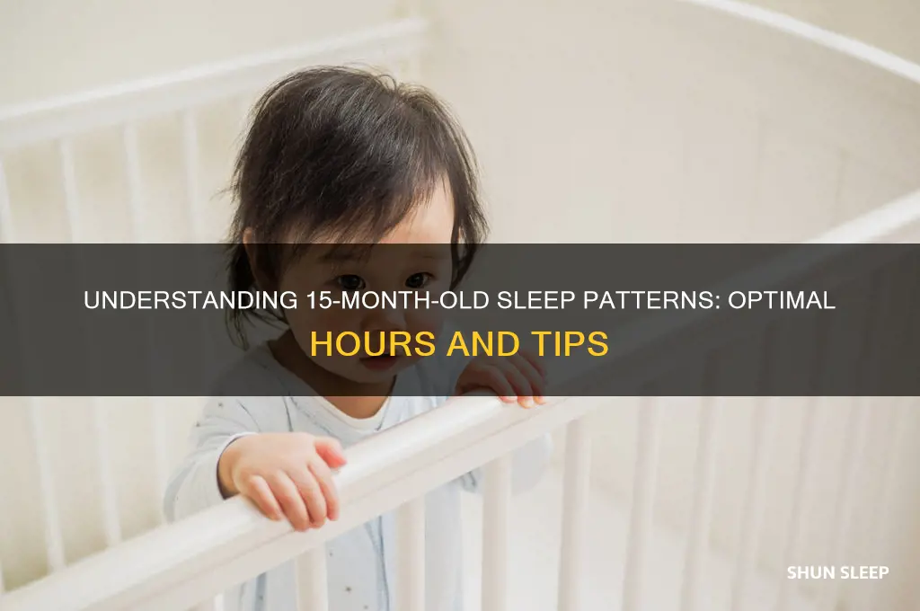 how many hours do 15 months old sleep