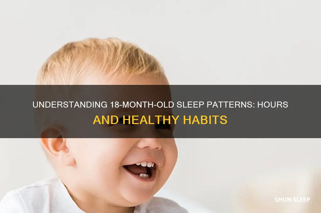 how many hours do 18 month old