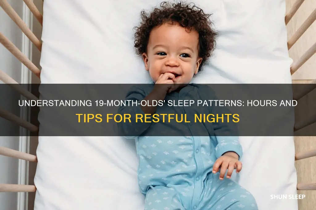 how many hours do 19th mos sleep