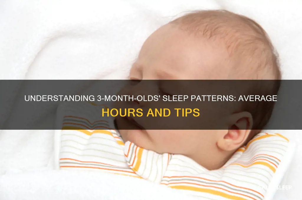 how many hours do 3 mos sleep