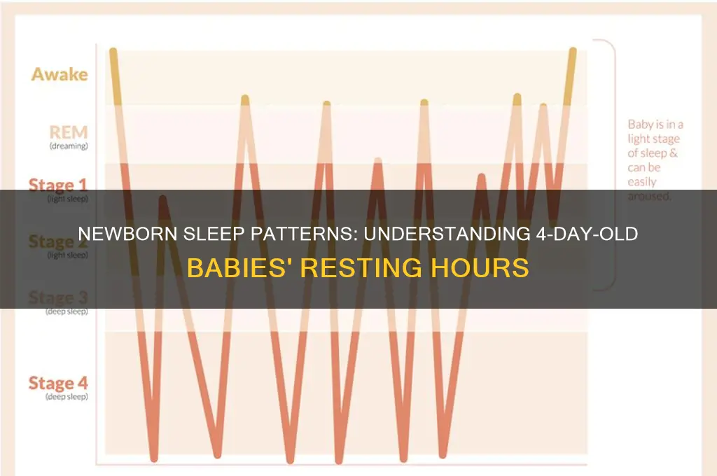 how many hours do 4 day old babies sleep