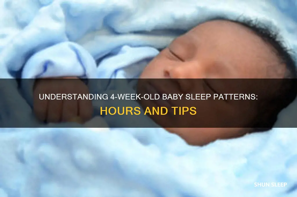 how many hours do 4 week old babies sleep