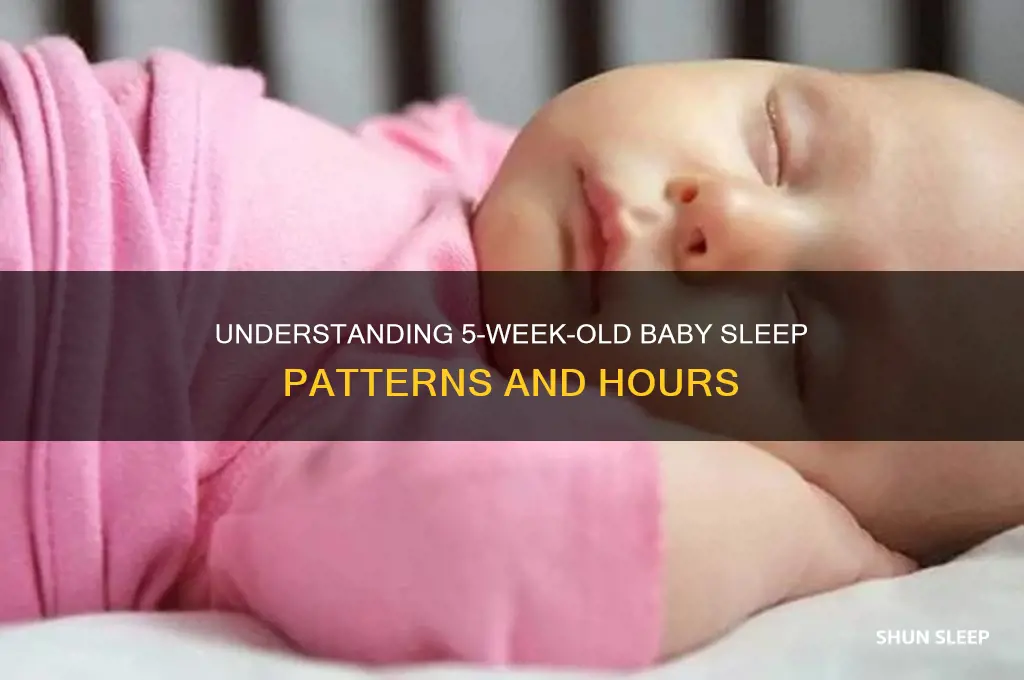 how many hours do 5 week old babies sleep