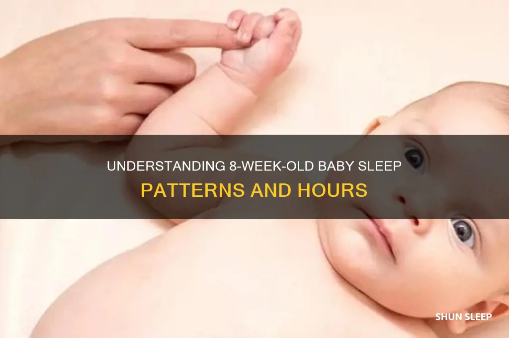 how many hours do 8 week old babies sleep
