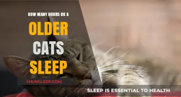 Understanding Senior Cats' Sleep Patterns: How Many Hours Do They Rest?