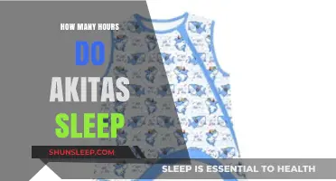 Understanding Akita Sleep Patterns: How Many Hours Do They Rest?