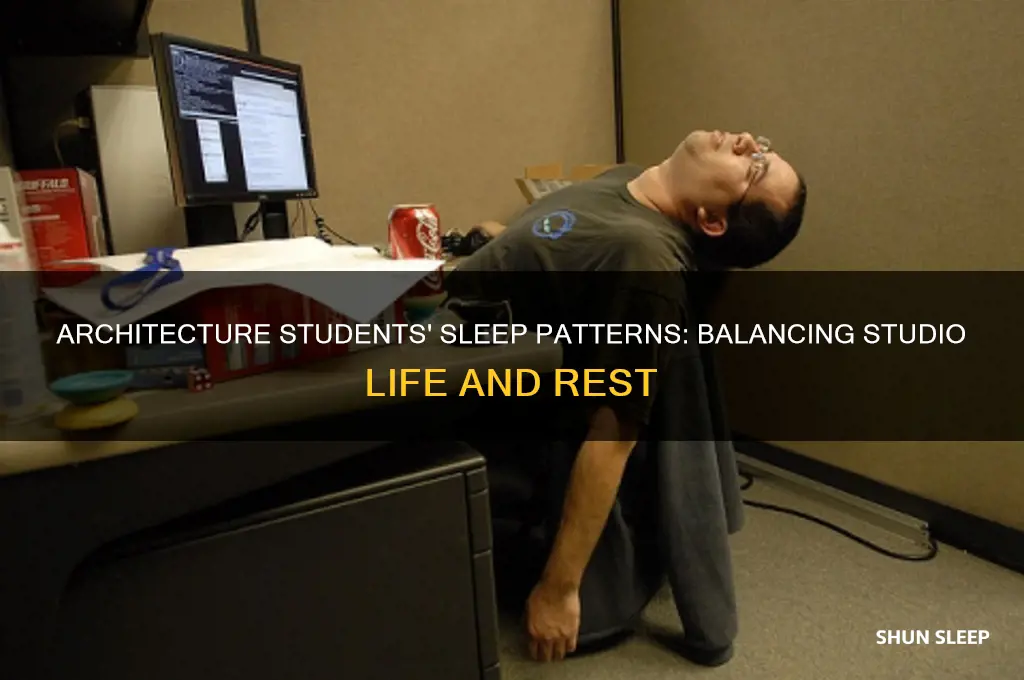 how many hours do architecture students sleep