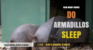 Unveiling Armadillo Sleep Patterns: How Many Hours Do They Rest?
