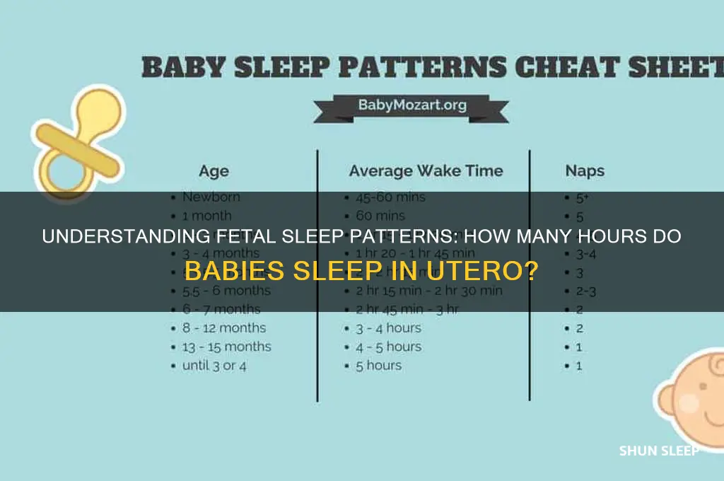 how many hours do babies sleep in utero