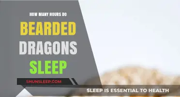 Understanding Bearded Dragon Sleep Patterns: A Comprehensive Guide