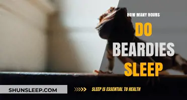 Understanding Beardie Sleep Patterns: How Many Hours Do They Rest?