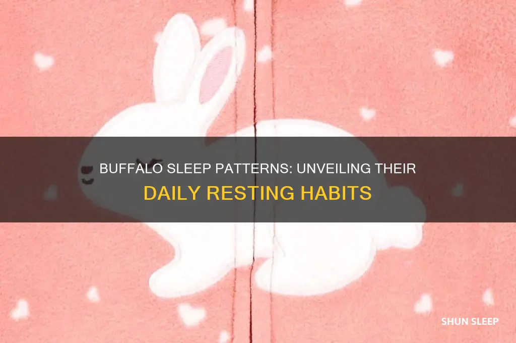 how many hours do buffalo sleep