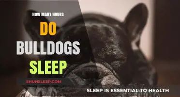 Bulldogs' Sleep Patterns: Understanding Their Daily Rest Requirements
