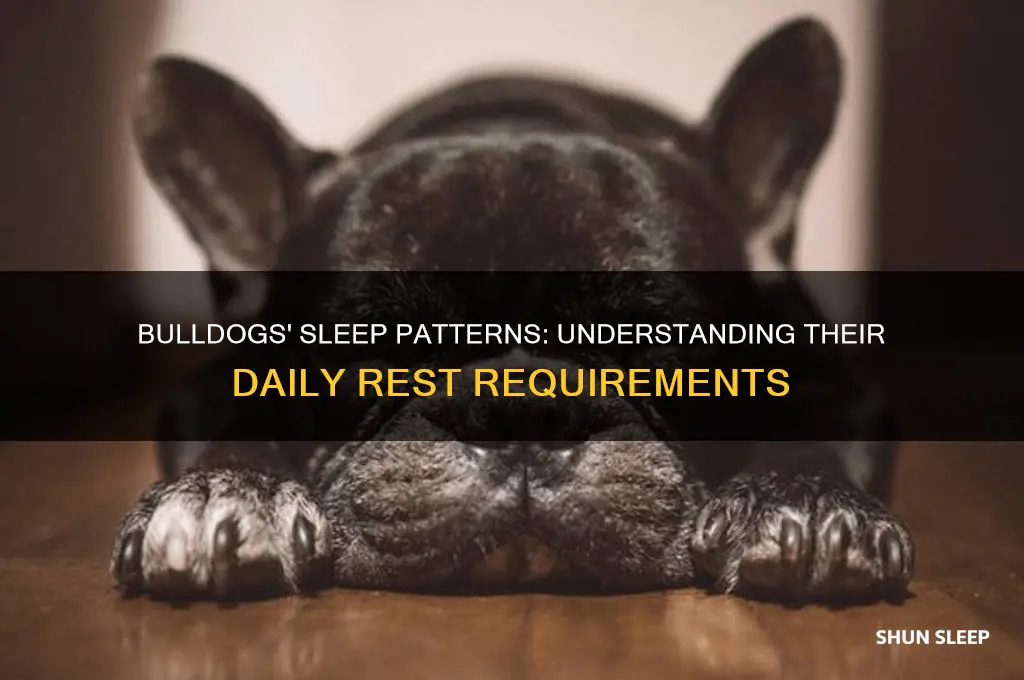 how many hours do bulldogs sleep